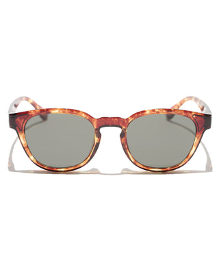 OCEAN CLEAR tortoise brown
