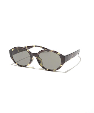 BAY CLEAR tortoise