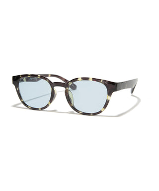 COVE CLEAR  tortoise