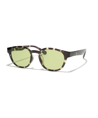COVE CLEAR  tortoise