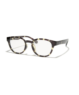 COVE CLEAR  tortoise