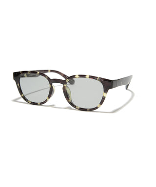 COVE CLEAR  tortoise