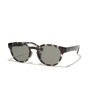 COVE CLEAR  tortoise