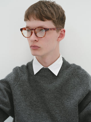 OCEAN CLEAR tortoise brown