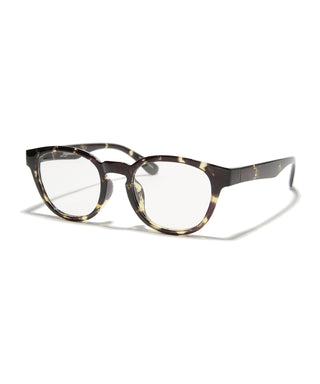 OCEAN CLEAR tortoise