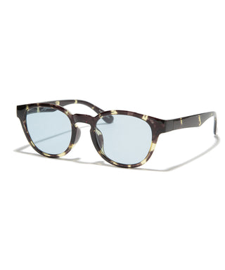 OCEAN CLEAR tortoise