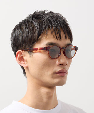 COVE CLEAR tortoise brown