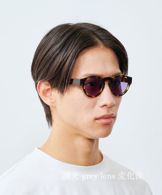 HARBOR CLEAR tortoise