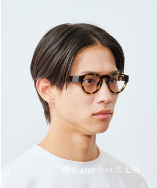 HARBOR CLEAR tortoise