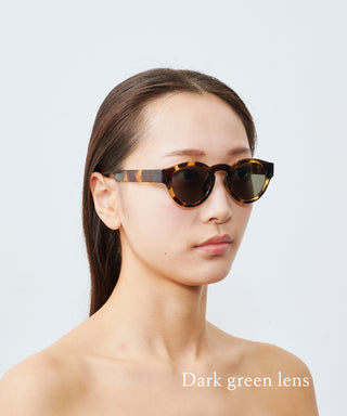 HARBOR CLEAR tortoise