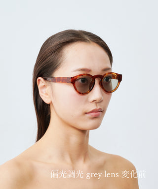 HARBOR CLEAR tortoise brown