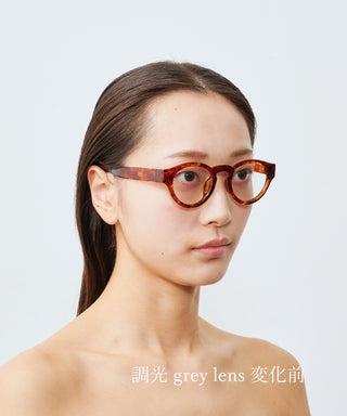 HARBOR CLEAR tortoise brown