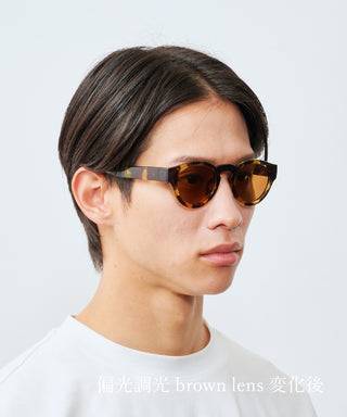 HARBOR CLEAR tortoise