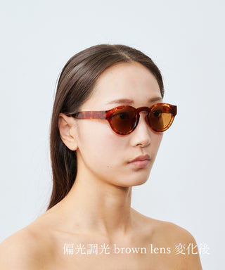 HARBOR CLEAR tortoise brown