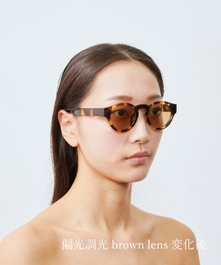 HARBOR CLEAR tortoise