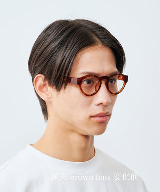 HARBOR CLEAR tortoise brown