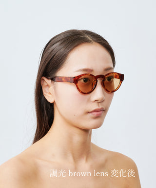 HARBOR CLEAR tortoise brown