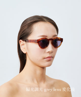 HARBOR CLEAR tortoise brown