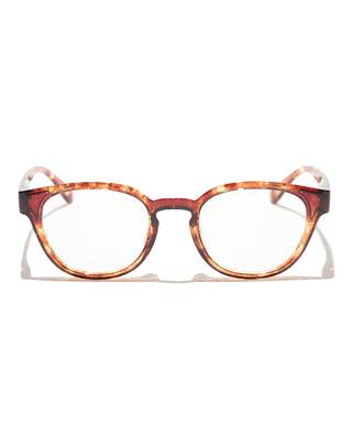 COVE CLEAR tortoise brown【予約販売商品】