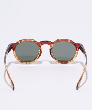 HORIZON CLEAR tortoise brown 【3月下旬発送】