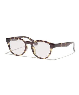 OCEAN CLEAR tortoise