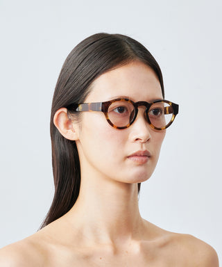 HARBOR CLEAR tortoise