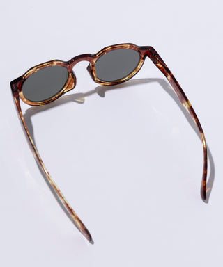 HORIZON CLEAR tortoise brown 【3月下旬発送】