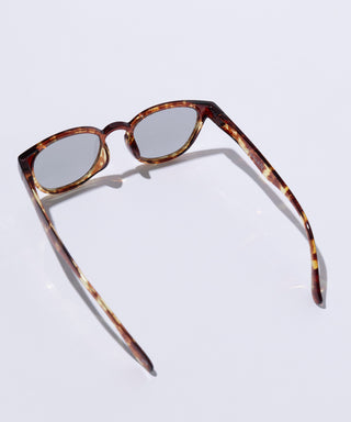 COVE CLEAR tortoise brown 【3月下旬発送】