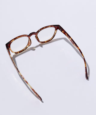 OCEAN CLEAR tortoise brown 【3月下旬発送】