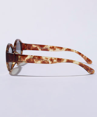 BAY CLEAR tortoise brown 【3月下旬発送】