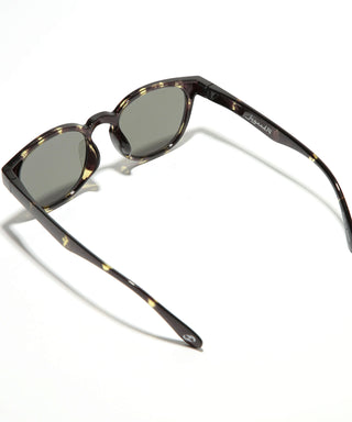 OCEAN CLEAR tortoise
