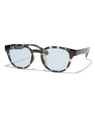 COVE CLEAR  tortoise