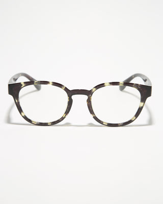 COVE CLEAR tortoise