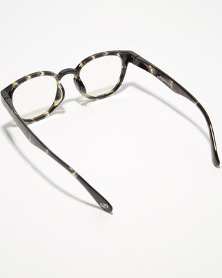 COVE CLEAR tortoise