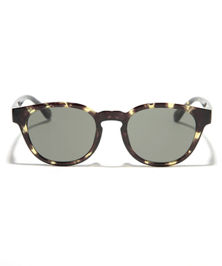 OCEAN CLEAR tortoise
